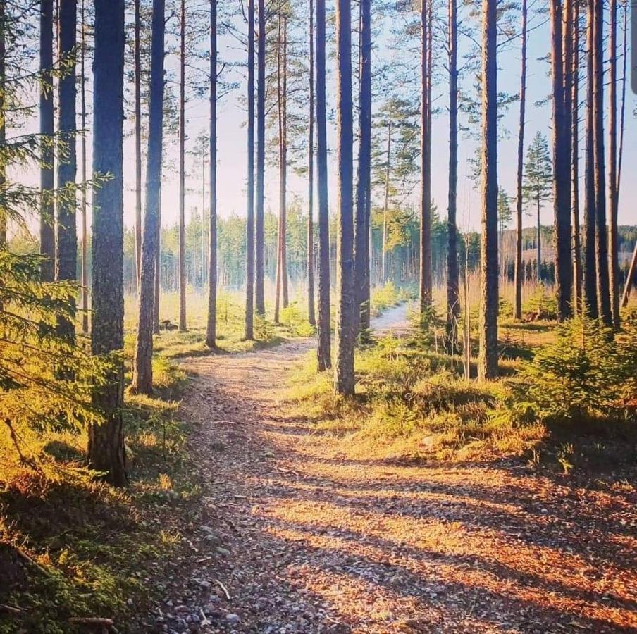 Mysig timmerstuga med braskamin nära Hovfjället Torsby Exteriör bild