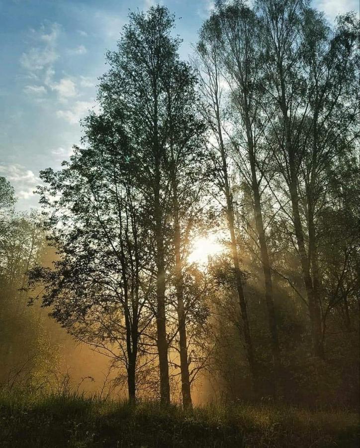 Mysig timmerstuga med braskamin nära Hovfjället Torsby Exteriör bild