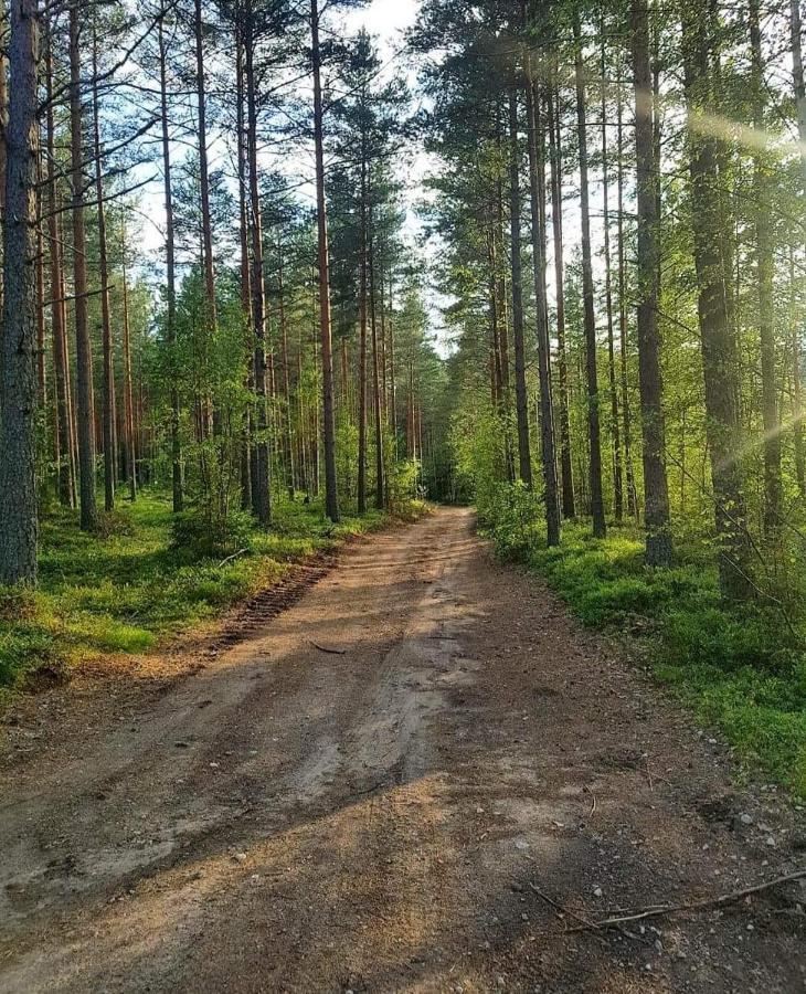 Mysig timmerstuga med braskamin nära Hovfjället Torsby Exteriör bild